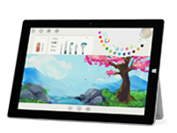 石狮Surface 无法开启、Windows 无法启动或电池无法充电