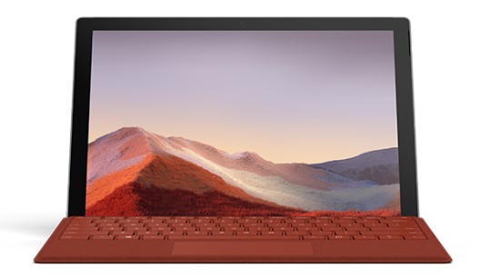 石狮清洁和维护 Surface